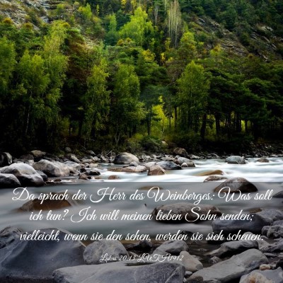 Picture 03 - Lukas 20:13 LUTH1912 - Da sprach der Herr des Weinberges: Was soll ich - Bible Verse Picture