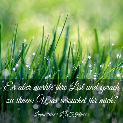 Picture 03 - Lukas 20:23 LUTH1912 - Er aber merkte ihre List und sprach zu ihnen: Was - Bible Verse Picture
