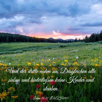 Picture 03 - Lukas 20:31 LUTH1912 - Und der dritte nahm sie. Desgleichen alle sieben - Bible Verse Picture