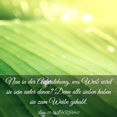 Picture 03 - Lukas 20:33 LUTH1912 - Nun in der Auferstehung, wes Weib wird sie sein - Bible Verse Picture