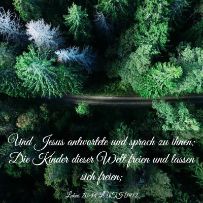 Picture 03 - Lukas 20:34 LUTH1912 - Und Jesus antwortete und sprach zu ihnen: Die - Bible Verse Picture