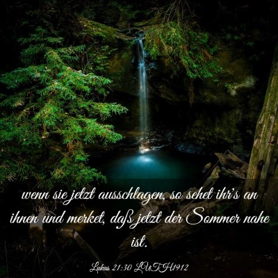 Picture 03 - Lukas 21:30 LUTH1912 - wenn sie jetzt ausschlagen, so sehet ihr's an - Bible Verse Picture