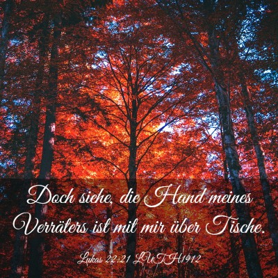 Picture 03 - Lukas 22:21 LUTH1912 - Doch siehe, die Hand meines Verräters ist mit - Bible Verse Picture