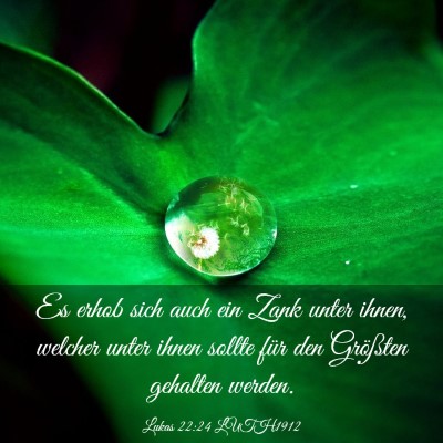 Picture 03 - Lukas 22:24 LUTH1912 - Es erhob sich auch ein Zank unter ihnen, welcher - Bible Verse Picture