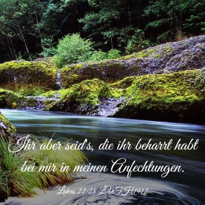 Picture 03 - Lukas 22:28 LUTH1912 - Ihr aber seid's, die ihr beharrt habt bei mir in - Bible Verse Picture