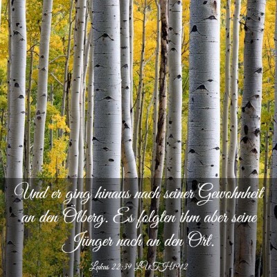Picture 03 - Lukas 22:39 LUTH1912 - Und er ging hinaus nach seiner Gewohnheit an den - Bible Verse Picture