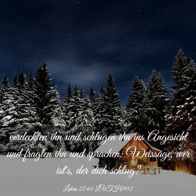 Picture 03 - Lukas 22:64 LUTH1912 - verdeckten ihn und schlugen ihn ins Angesicht und - Bible Verse Picture