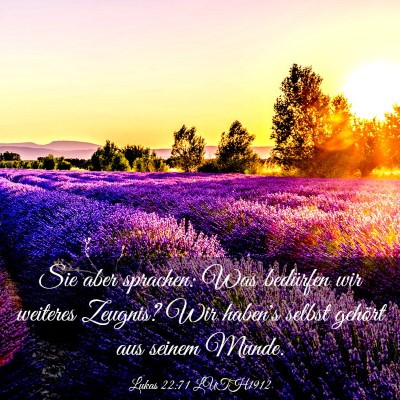 Picture 03 - Lukas 22:71 LUTH1912 - Sie aber sprachen: Was bedürfen wir weiteres - Bible Verse Picture