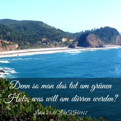 Picture 03 - Lukas 23:31 LUTH1912 - Denn so man das tut am grünen Holz, was will am - Bible Verse Picture