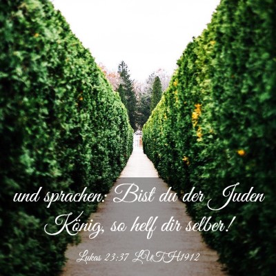 Picture 03 - Lukas 23:37 LUTH1912 - und sprachen: Bist du der Juden König, so helf - Bible Verse Picture