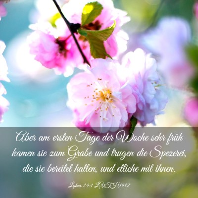 Picture 03 - Lukas 24:1 LUTH1912 - Aber am ersten Tage der Woche sehr früh kamen - Bible Verse Picture