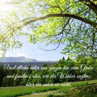 Picture 03 - Lukas 24:24 LUTH1912 - Und etliche unter uns gingen hin zum Grabe und - Bible Verse Picture