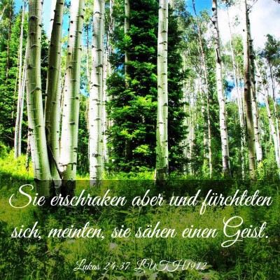 Picture 03 - Lukas 24:37 LUTH1912 - Sie erschraken aber und fürchteten sich, - Bible Verse Picture