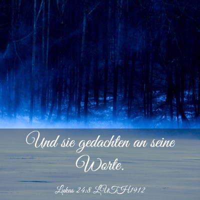 Picture 03 - Lukas 24:8 LUTH1912 - Und sie gedachten an seine - Bible Verse Picture