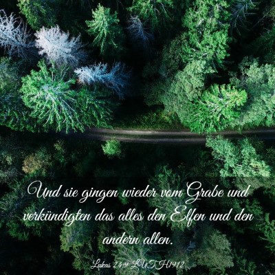 Picture 03 - Lukas 24:9 LUTH1912 - Und sie gingen wieder vom Grabe und verkündigten - Bible Verse Picture