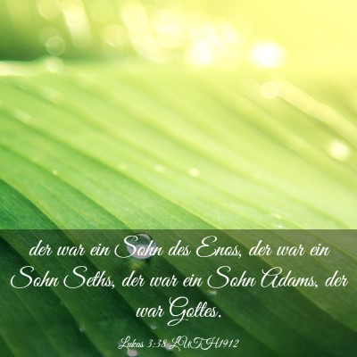 Picture 03 - Lukas 3:38 LUTH1912 - der war ein Sohn des Enos, der war ein Sohn - Bible Verse Picture