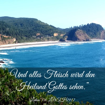 Picture 03 - Lukas 3:6 LUTH1912 - Und alles Fleisch wird den Heiland Gottes - Bible Verse Picture