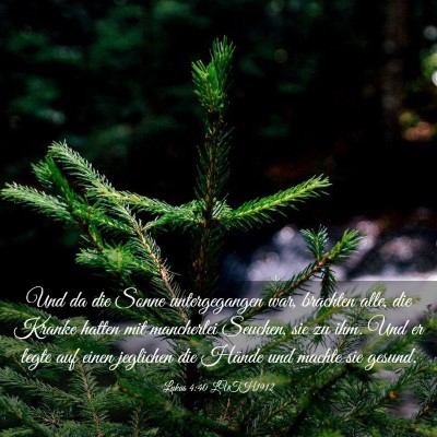 Picture 03 - Lukas 4:40 LUTH1912 - Und da die Sonne untergegangen war, brachten - Bible Verse Picture