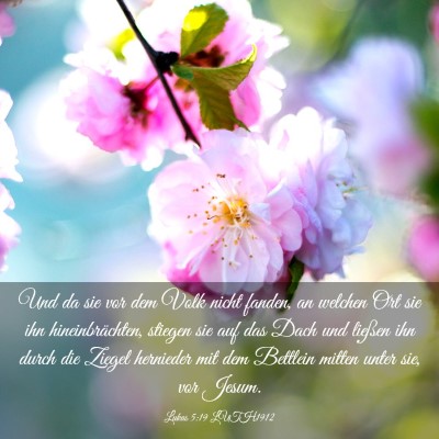 Picture 03 - Lukas 5:19 LUTH1912 - Und da sie vor dem Volk nicht fanden, an welchen - Bible Verse Picture