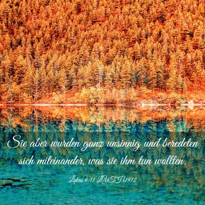 Picture 03 - Lukas 6:11 LUTH1912 - Sie aber wurden ganz unsinnig und beredeten sich - Bible Verse Picture
