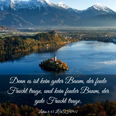 Picture 03 - Lukas 6:43 LUTH1912 - Denn es ist kein guter Baum, der faule Frucht - Bible Verse Picture