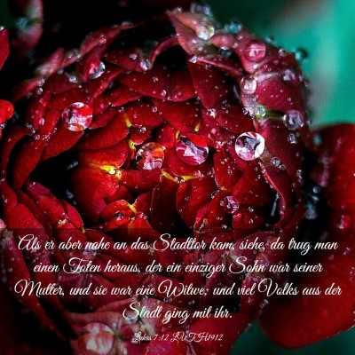 Picture 03 - Lukas 7:12 LUTH1912 - Als er aber nahe an das Stadttor kam, siehe, da - Bible Verse Picture