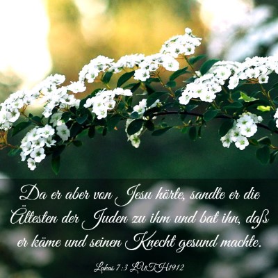 Picture 03 - Lukas 7:3 LUTH1912 - Da er aber von Jesu hörte, sandte er die - Bible Verse Picture