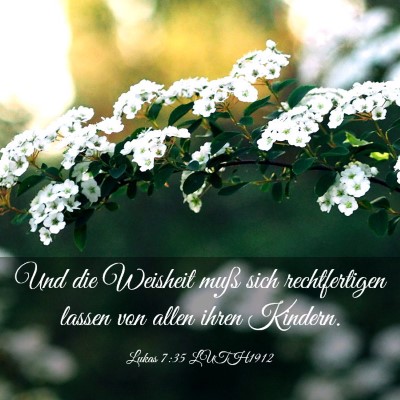Picture 03 - Lukas 7:35 LUTH1912 - Und die Weisheit muß sich rechtfertigen lassen - Bible Verse Picture