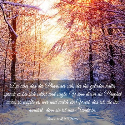 Picture 03 - Lukas 7:39 LUTH1912 - Da aber das der Pharisäer sah, der ihn geladen - Bible Verse Picture