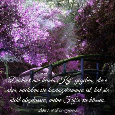 Picture 03 - Lukas 7:45 LUTH1912 - Du hast mir keinen Kuß gegeben; diese aber, - Bible Verse Picture