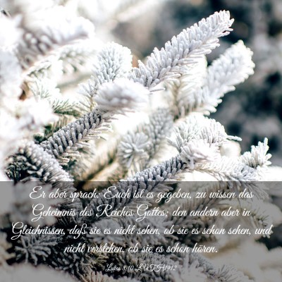 Picture 03 - Lukas 8:10 LUTH1912 - Er aber sprach: Euch ist es gegeben, zu wissen - Bible Verse Picture
