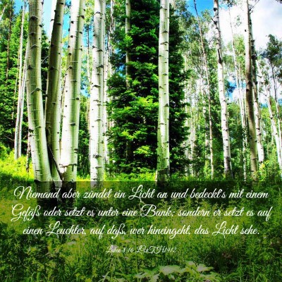 Picture 03 - Lukas 8:16 LUTH1912 - Niemand aber zündet ein Licht an und bedeckt's - Bible Verse Picture