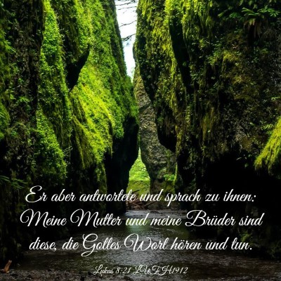 Picture 03 - Lukas 8:21 LUTH1912 - Er aber antwortete und sprach zu ihnen: Meine - Bible Verse Picture