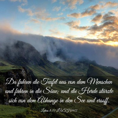 Picture 03 - Lukas 8:33 LUTH1912 - Da fuhren die Teufel aus von dem Menschen und - Bible Verse Picture