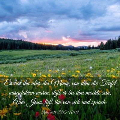 Picture 03 - Lukas 8:38 LUTH1912 - Es bat ihn aber der Mann, von dem die Teufel - Bible Verse Picture