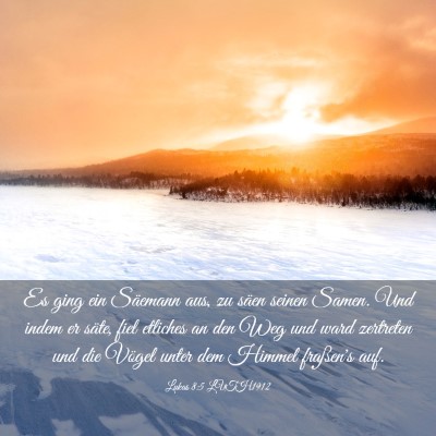 Picture 03 - Lukas 8:5 LUTH1912 - Es ging ein Säemann aus, zu säen seinen Samen. - Bible Verse Picture