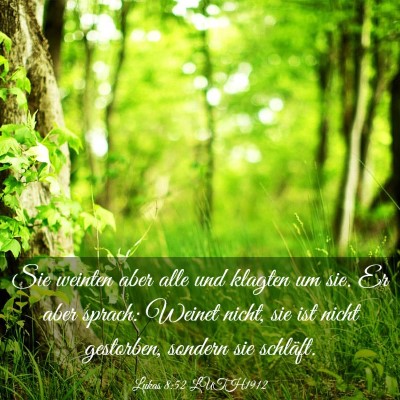 Picture 03 - Lukas 8:52 LUTH1912 - Sie weinten aber alle und klagten um sie. Er aber - Bible Verse Picture