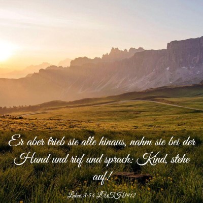 Picture 03 - Lukas 8:54 LUTH1912 - Er aber trieb sie alle hinaus, nahm sie bei der - Bible Verse Picture