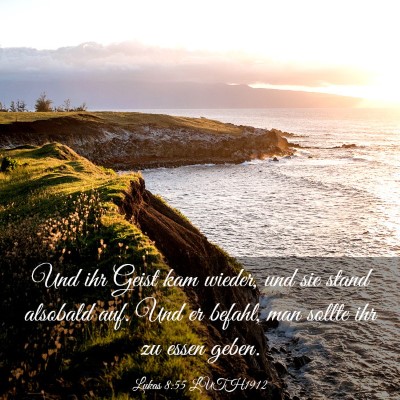Picture 03 - Lukas 8:55 LUTH1912 - Und ihr Geist kam wieder, und sie stand alsobald - Bible Verse Picture
