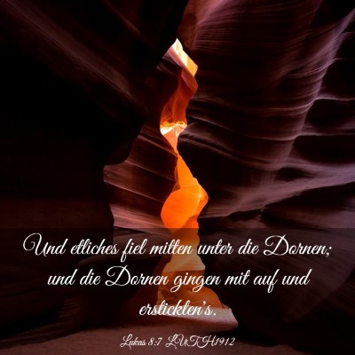 Picture 03 - Lukas 8:7 LUTH1912 - Und etliches fiel mitten unter die Dornen; und - Bible Verse Picture