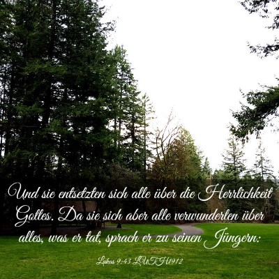 Picture 03 - Lukas 9:43 LUTH1912 - Und sie entsetzten sich alle über die - Bible Verse Picture