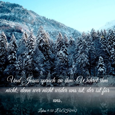 Picture 03 - Lukas 9:50 LUTH1912 - Und Jesus sprach zu ihm: Wehret ihm nicht; denn - Bible Verse Picture