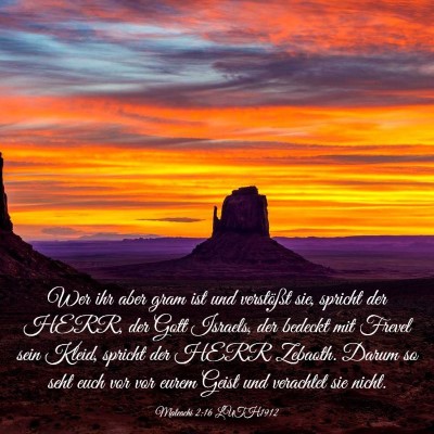 Picture 03 - Maleachi 2:16 LUTH1912 - Wer ihr aber gram ist und verstößt sie, spricht - Bible Verse Picture