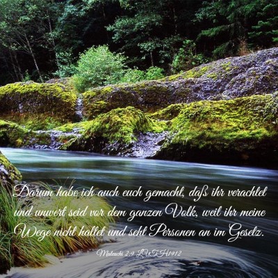 Picture 03 - Maleachi 2:9 LUTH1912 - Darum habe ich auch euch gemacht, daß ihr - Bible Verse Picture