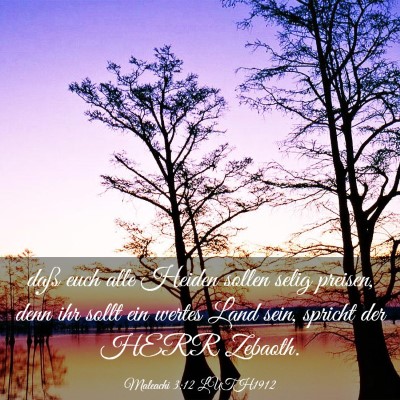 Picture 03 - Maleachi 3:12 LUTH1912 - daß euch alle Heiden sollen selig preisen, denn - Bible Verse Picture
