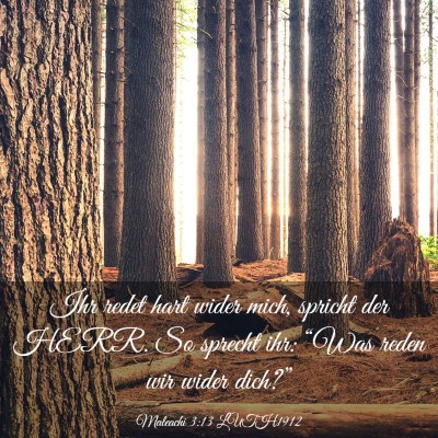 Picture 03 - Maleachi 3:13 LUTH1912 - Ihr redet hart wider mich, spricht der HERR. So - Bible Verse Picture