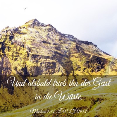 Picture 03 - Markus 1:12 LUTH1912 - Und alsbald trieb ihn der Geist in die - Bible Verse Picture