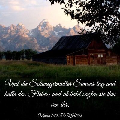 Picture 03 - Markus 1:30 LUTH1912 - Und die Schwiegermutter Simons lag und hatte das - Bible Verse Picture