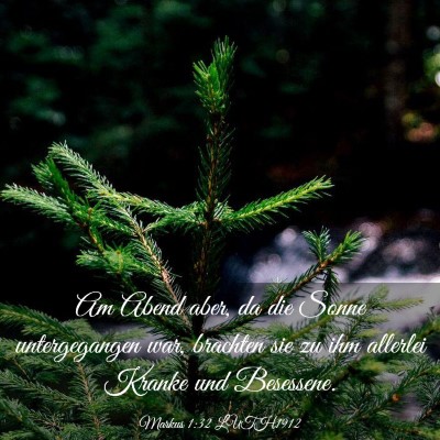 Picture 03 - Markus 1:32 LUTH1912 - Am Abend aber, da die Sonne untergegangen war, - Bible Verse Picture