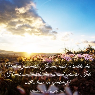 Picture 03 - Markus 1:41 LUTH1912 - Und es jammerte Jesum, und er reckte die Hand - Bible Verse Picture